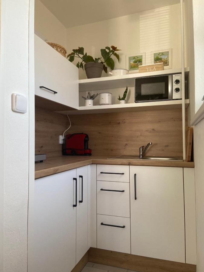 Apartman V Brezi מראה חיצוני תמונה