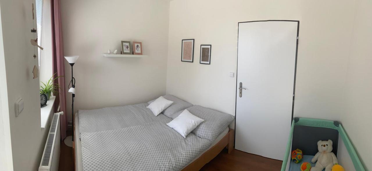 Apartman V Brezi מראה חיצוני תמונה
